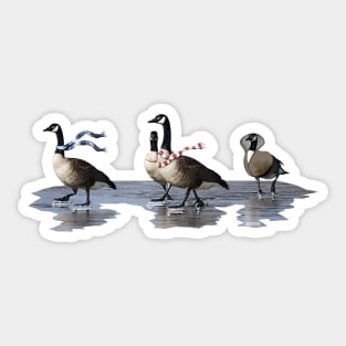 Cool Geese Sticker